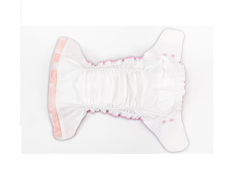 Sparkie 仙女棒顯濕布尿布體驗組 附尿褲4件 尿墊 4件