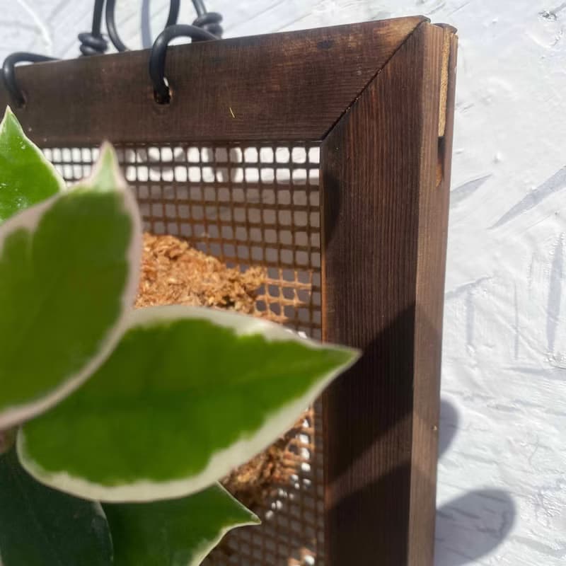 【毬蘭畫框】質感碳化框/ 室內植物