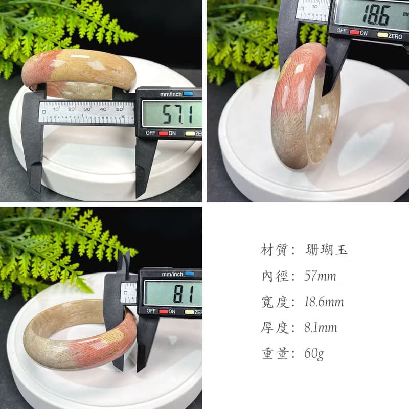 精品 珊瑚玉手鐲 57MM 冰潤多彩骨骼鳳尾紋 菊花玉手環 簡約優雅