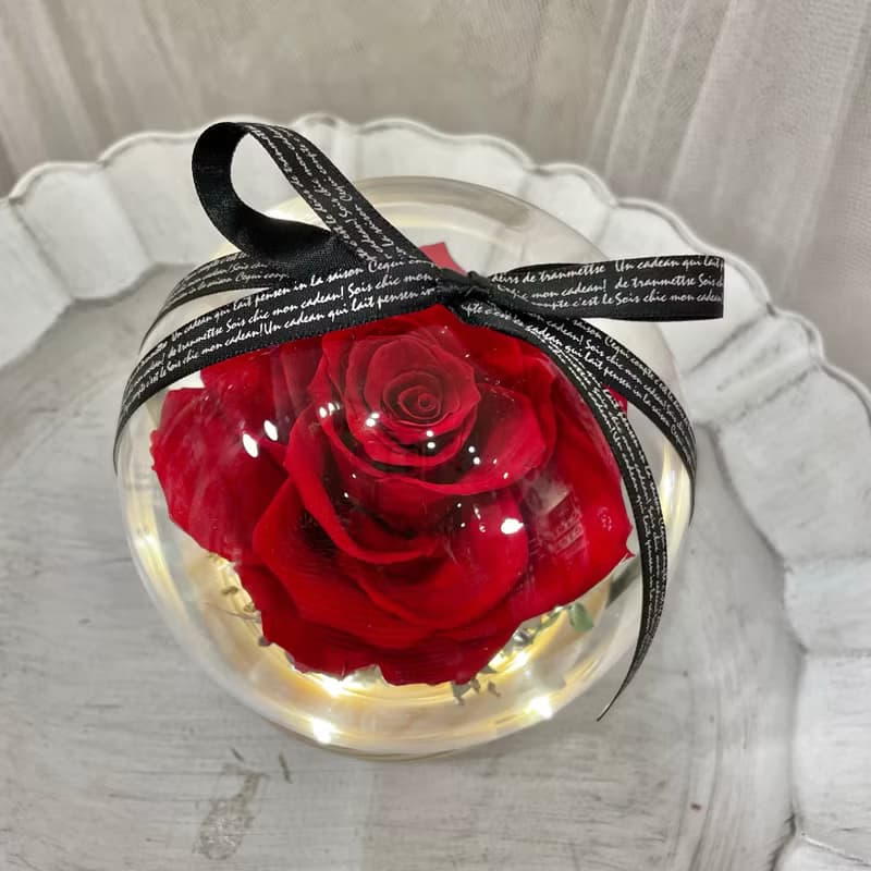 | 小夢境花藝 | 厄瓜多XL 永生紅玫瑰 LED燈環底座玻璃球