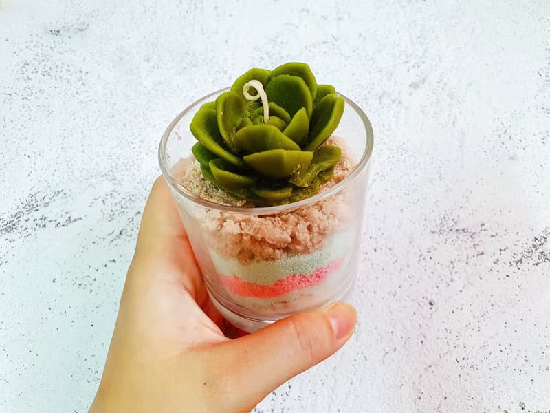 【我是多肉不是肉多】蠟燭材料包/沙畫 仙人掌/多肉植物