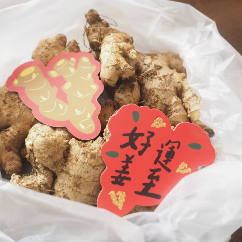 蔬菜吊牌好心情樹挂件新年禮物盆栽吊飾綠植發財樹過年掛裝飾牌