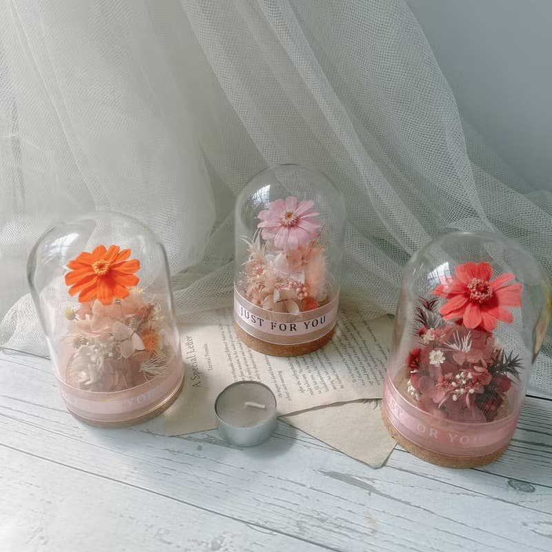 玻璃罩 小雛菊 永生花 生日禮物 閨蜜禮物