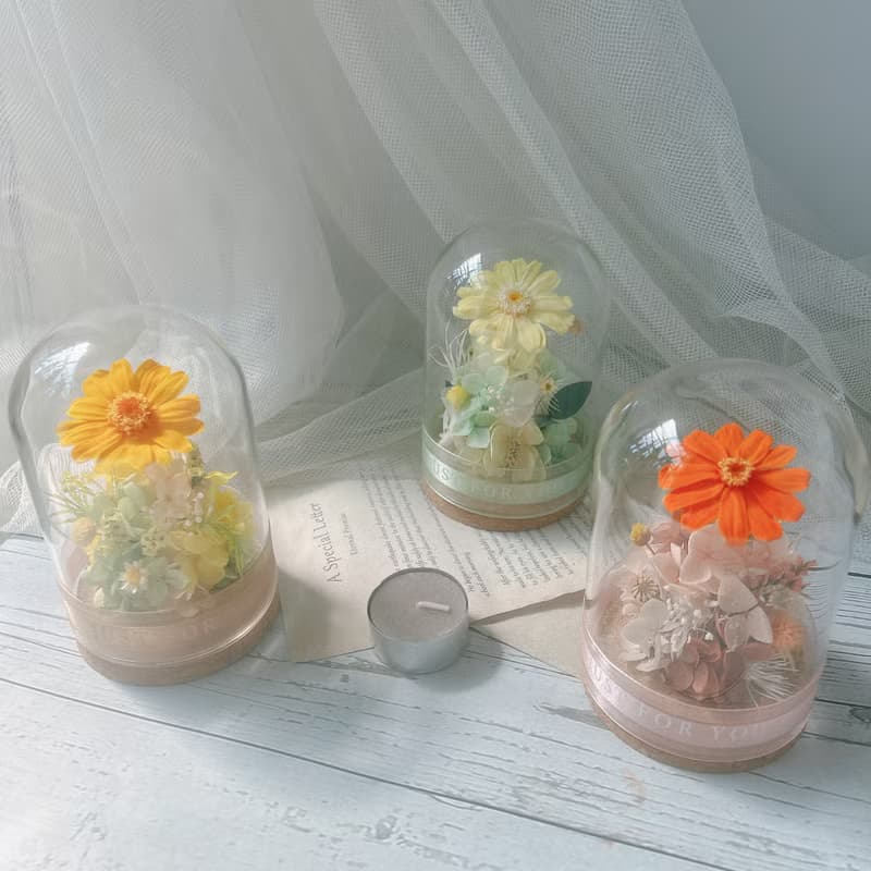 玻璃罩 小雛菊 永生花 生日禮物 閨蜜禮物