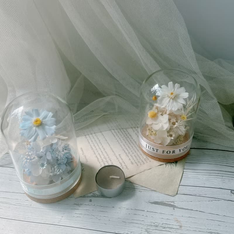 玻璃罩 小雛菊 永生花 生日禮物 閨蜜禮物