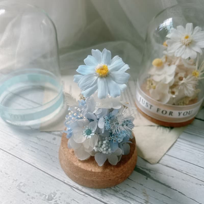 玻璃罩 小雛菊 永生花 生日禮物 閨蜜禮物