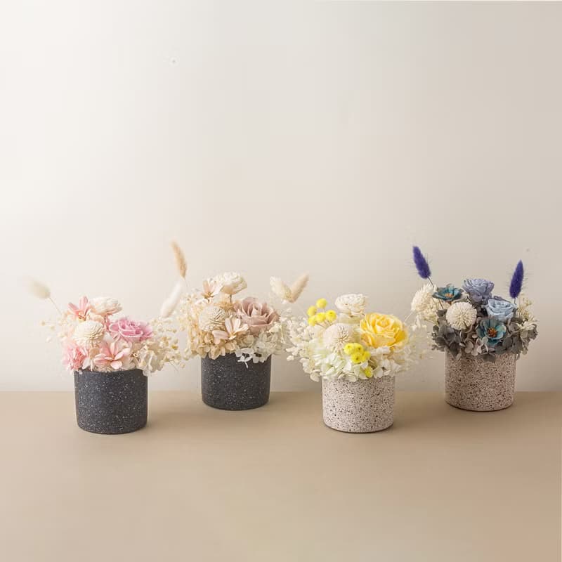 清新永生玫瑰小盆花 開幕花禮 新居落成 生日禮物 索拉花 永生花