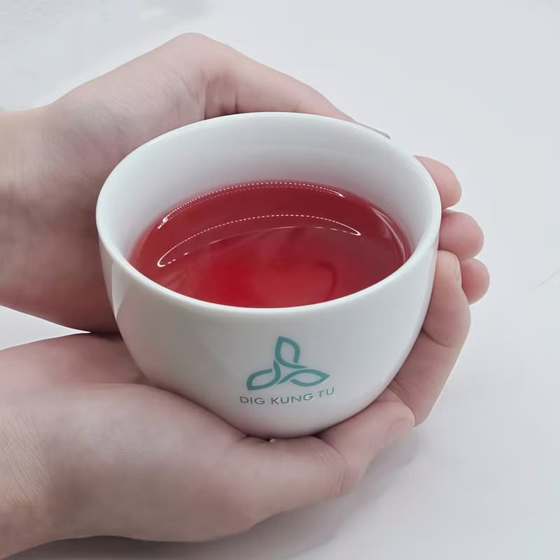醇韻黑醋栗立體茶包立體茶包 - 10入禮盒裝