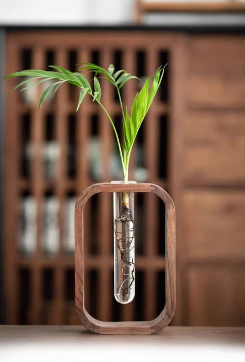桌面擺件  黑胡桃水培花瓶 新年佈置