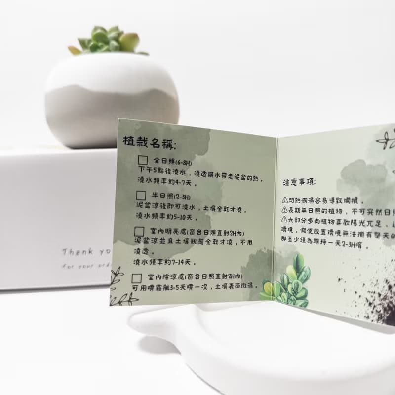 【DIY材料包】小胖圓雪山泥盆+摩艾多肉泥盆DIY禮盒