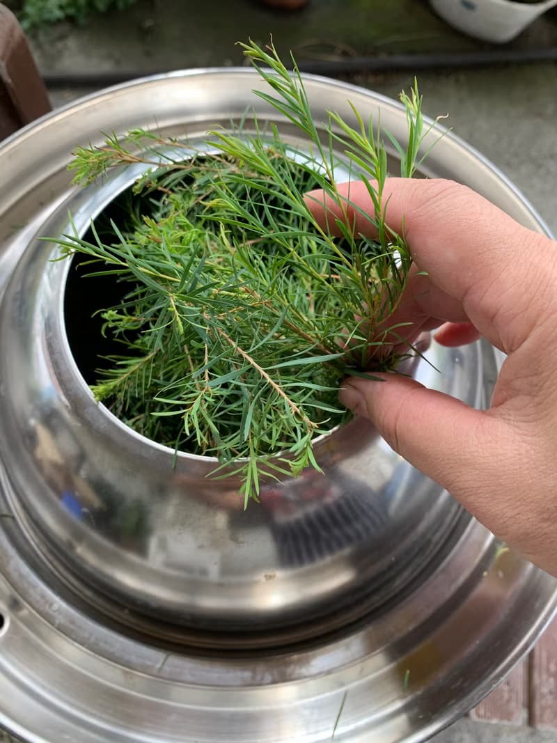 陳家庄澳洲茶樹精油純露買五送一優惠中