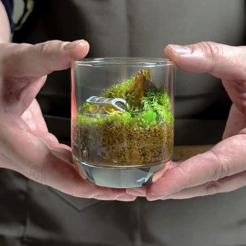 森林祕寶 / 超迷你掌上型手工微景觀生態盆