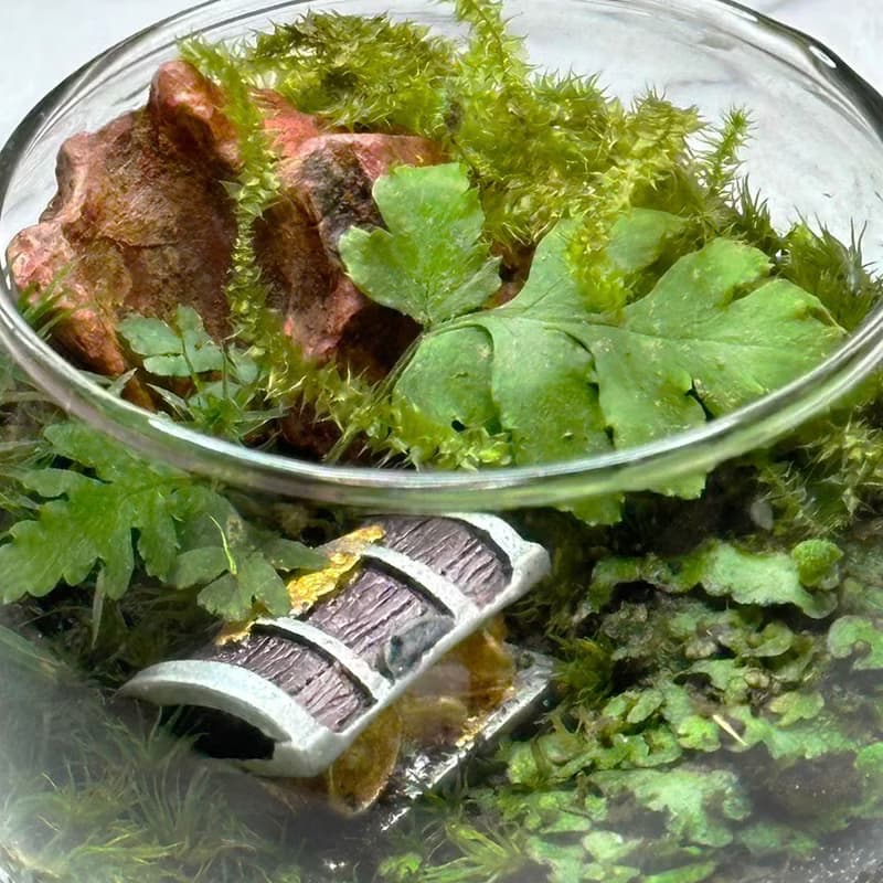 森林祕寶 / 超迷你掌上型手工微景觀生態盆