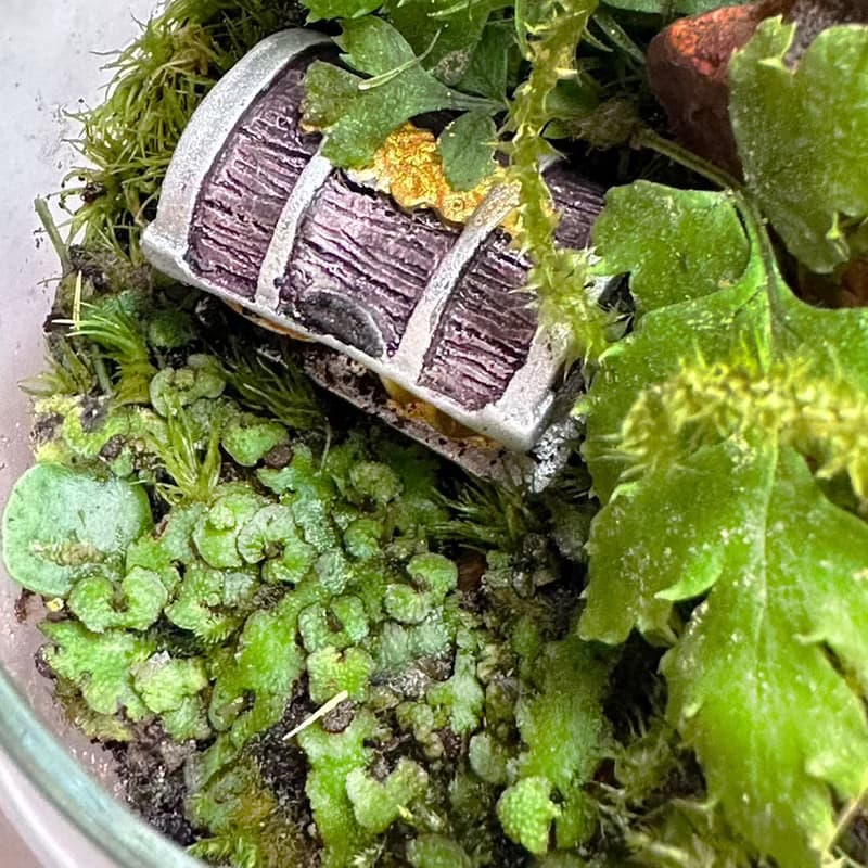 森林祕寶 / 超迷你掌上型手工微景觀生態盆