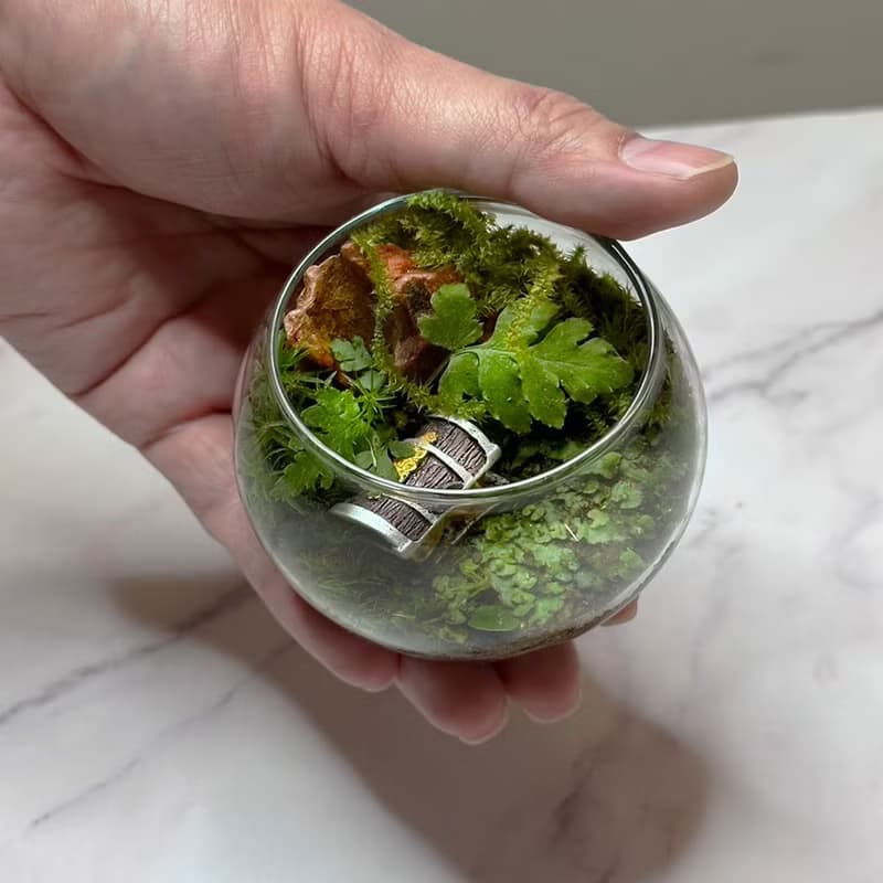 森林祕寶 / 超迷你掌上型手工微景觀生態盆