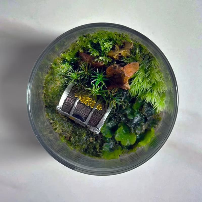森林祕寶 / 超迷你掌上型手工微景觀生態盆