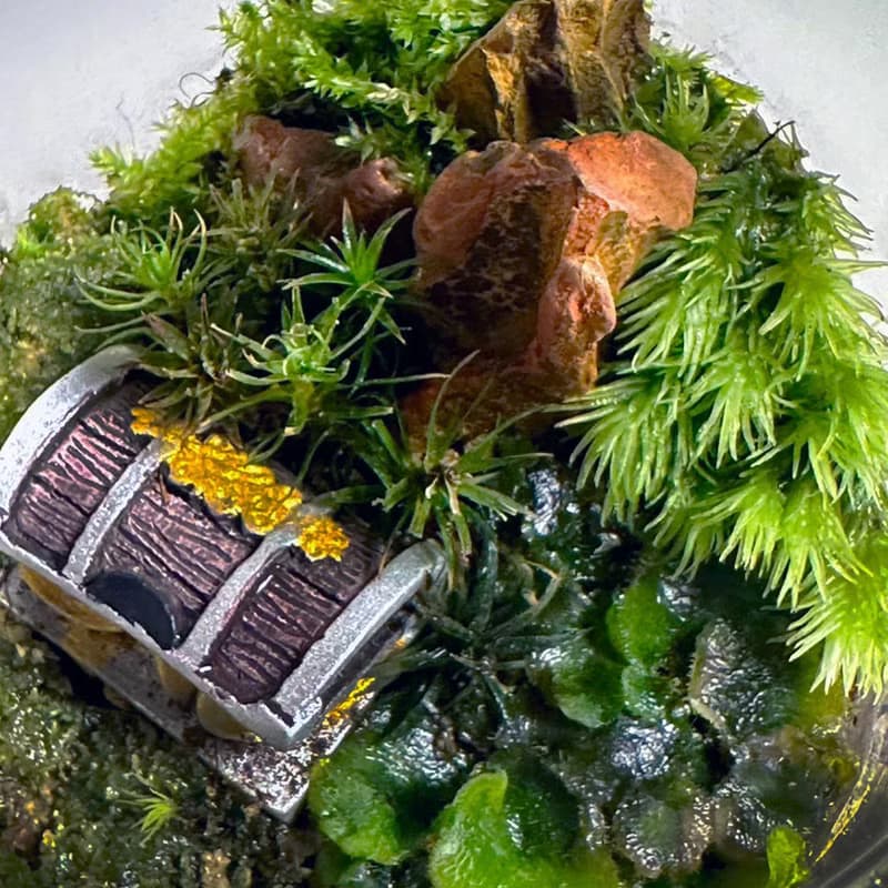 森林祕寶 / 超迷你掌上型手工微景觀生態盆