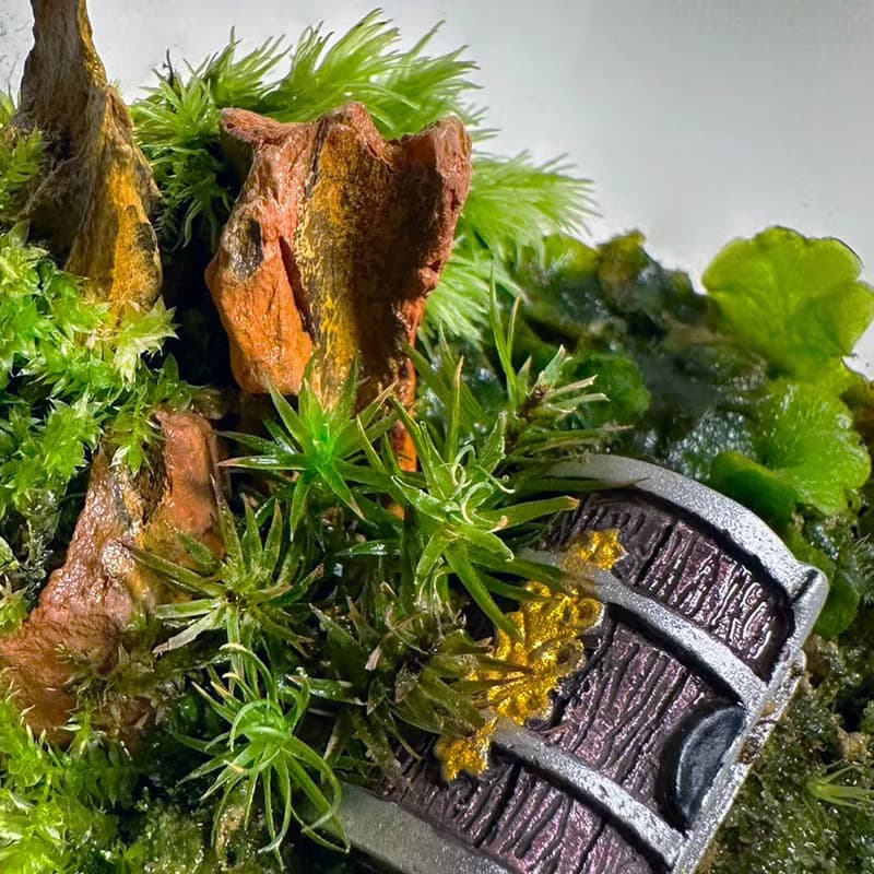 森林祕寶 / 超迷你掌上型手工微景觀生態盆