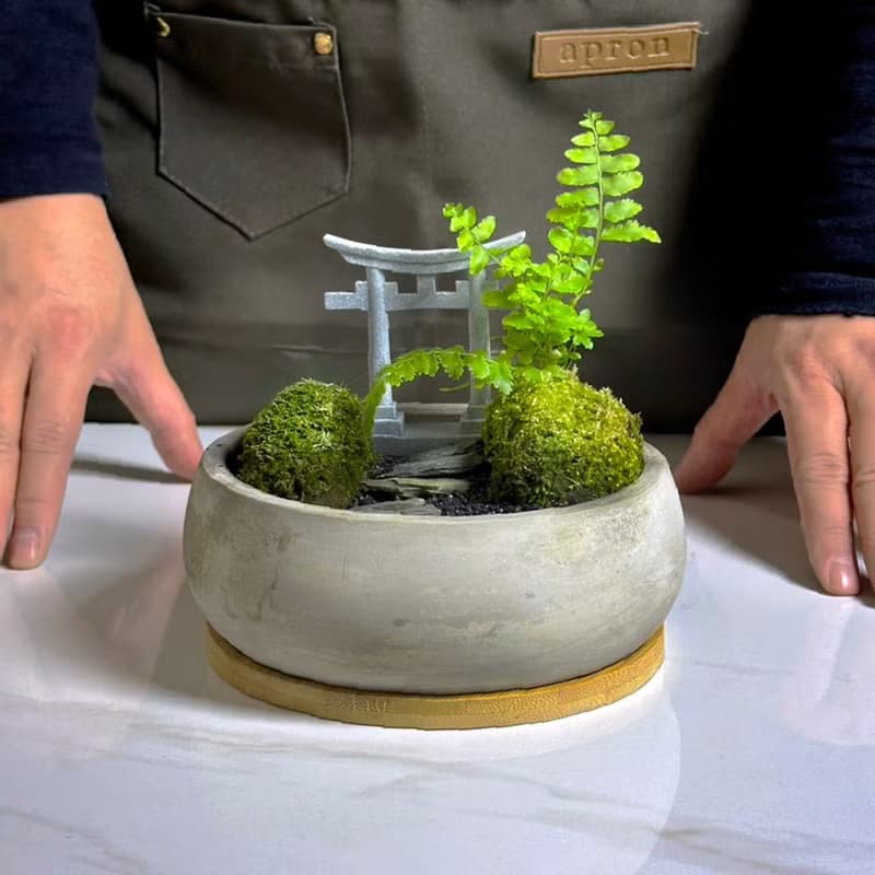自然苔玉美學 – 靜徑