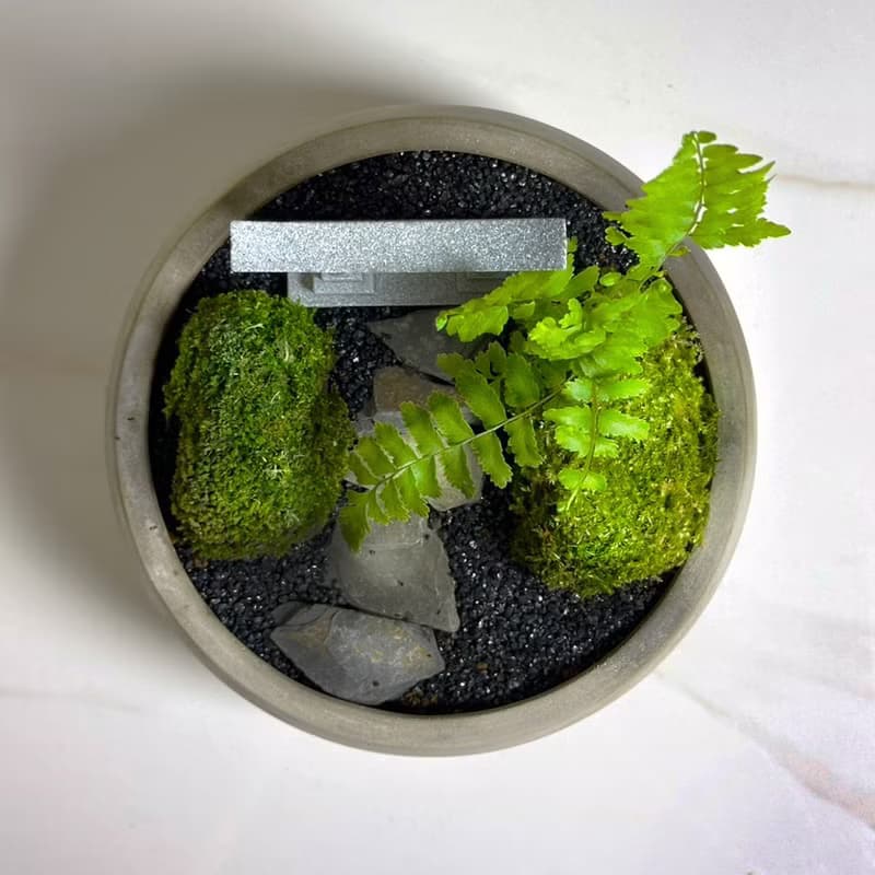 自然苔玉美學 – 靜徑