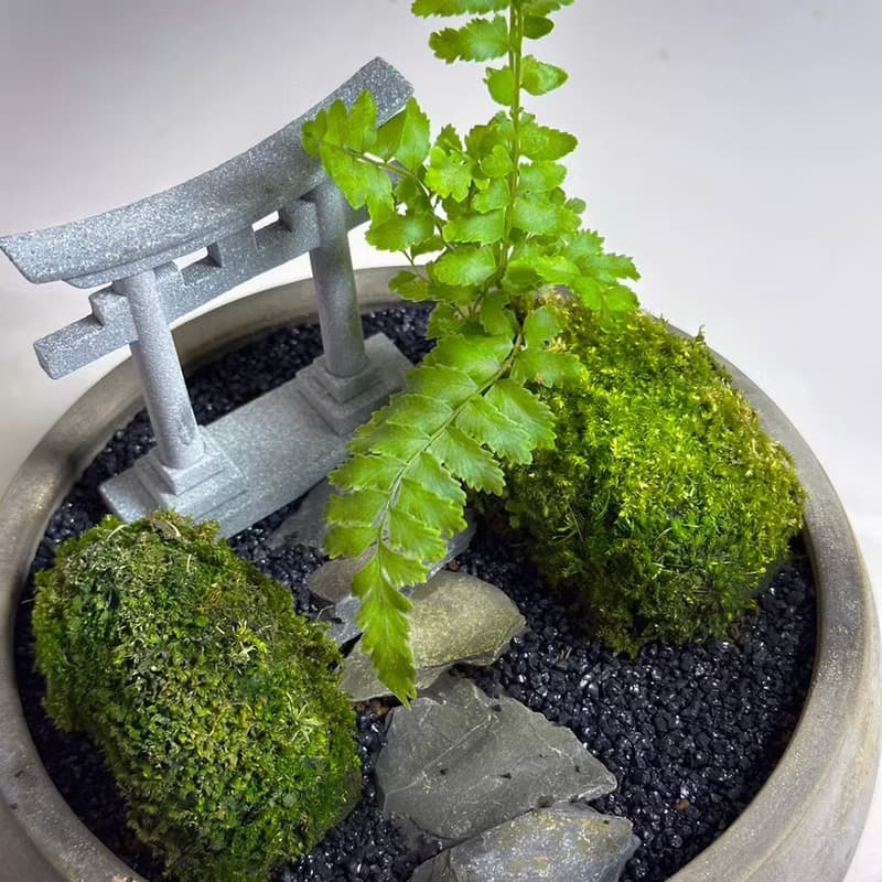 自然苔玉美學 – 靜徑