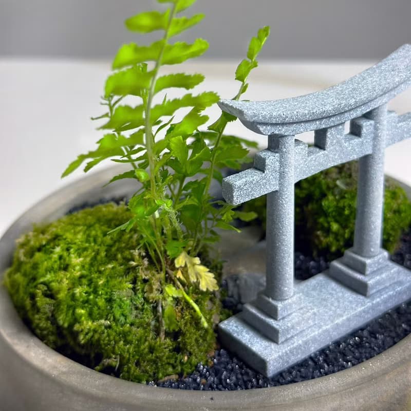 自然苔玉美學 – 靜徑