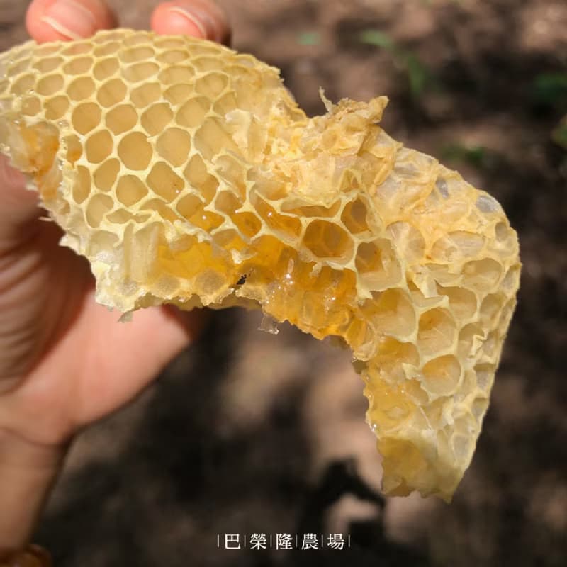 巴榮隆農場玉荷包荔枝蜜禮盒 450g