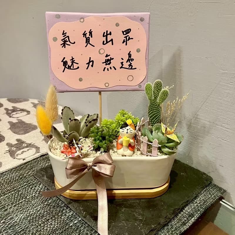 冬至柚子茶 貓 台中多肉組盆 多肉植物 植栽送禮 生日 日本decole