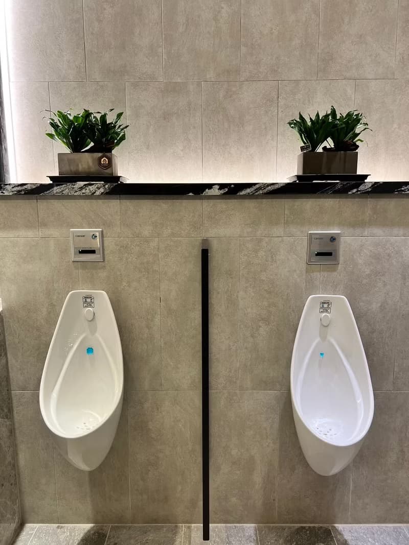 【商空綠化】綠植設計 美化佈置 質感盆栽