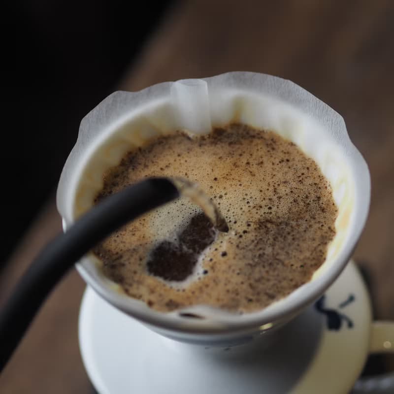 預購【HARIO聯名】貓咪青花瓷 V60 咖啡濾杯