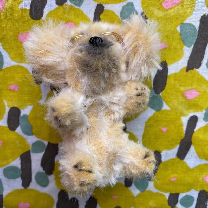 戴眼鏡的金毛犬 站著10cm-毛根扭扭棒手作/玩偶公仔毛料娃娃
