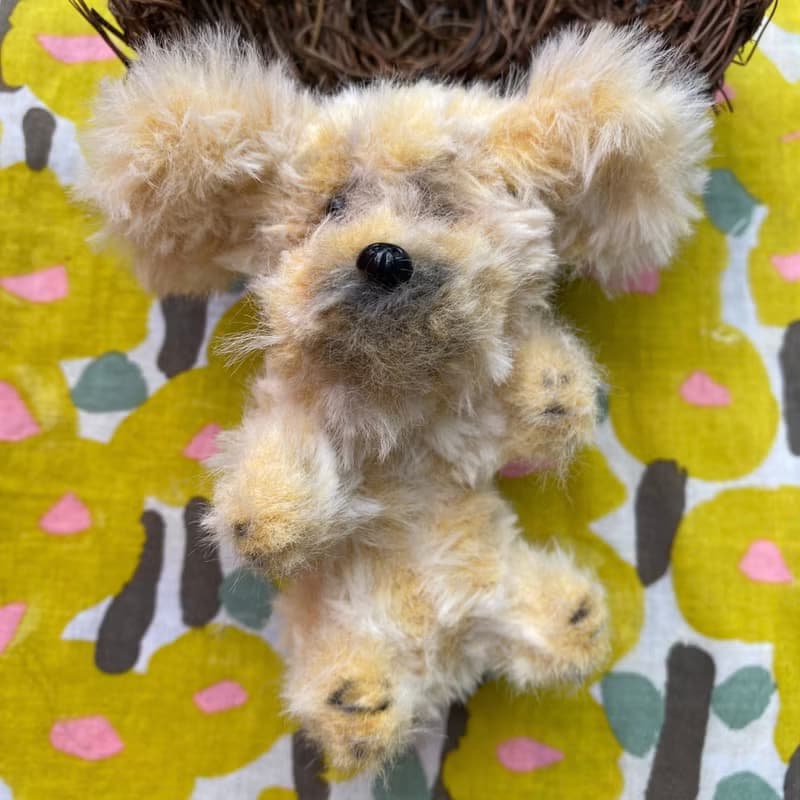 戴眼鏡的金毛犬 站著10cm-毛根扭扭棒手作/玩偶公仔毛料娃娃