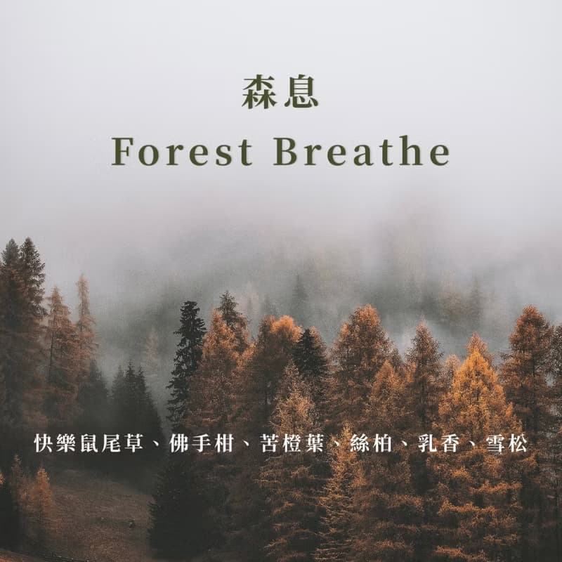 森息  I TheHours香氛蠟燭