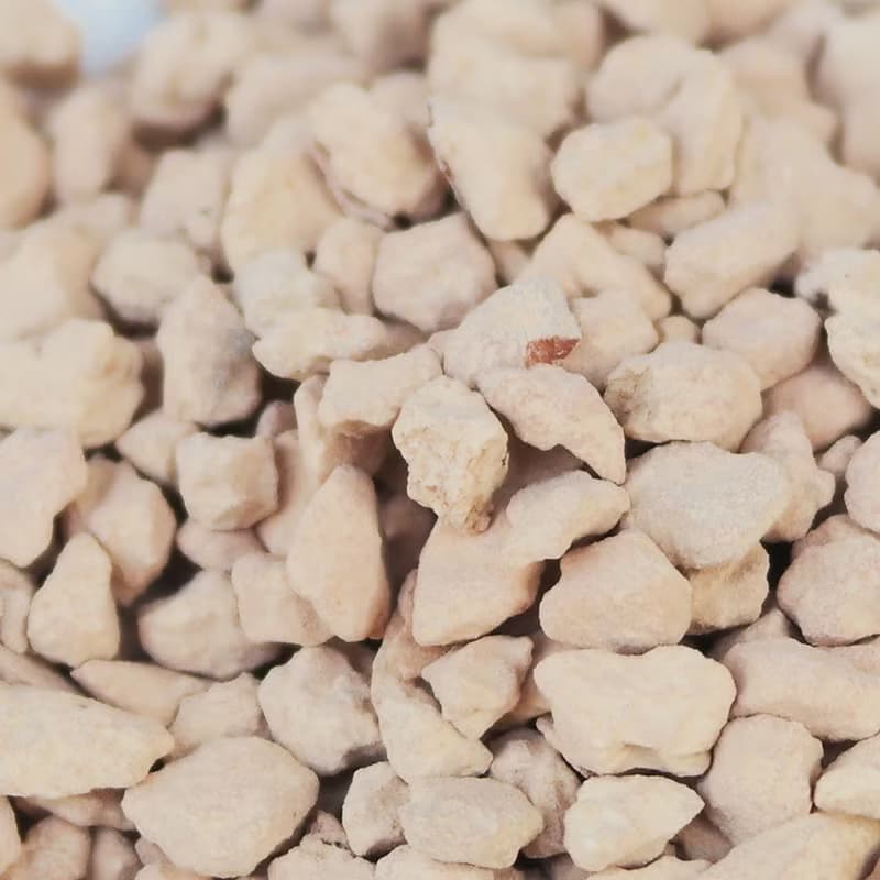 【荳荳多肉】【珪藻土】喬遷│送禮│升遷│多肉植物