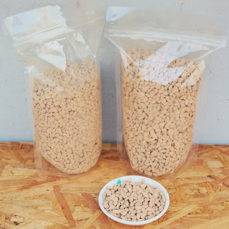 【荳荳多肉】【珪藻土】喬遷│送禮│升遷│多肉植物