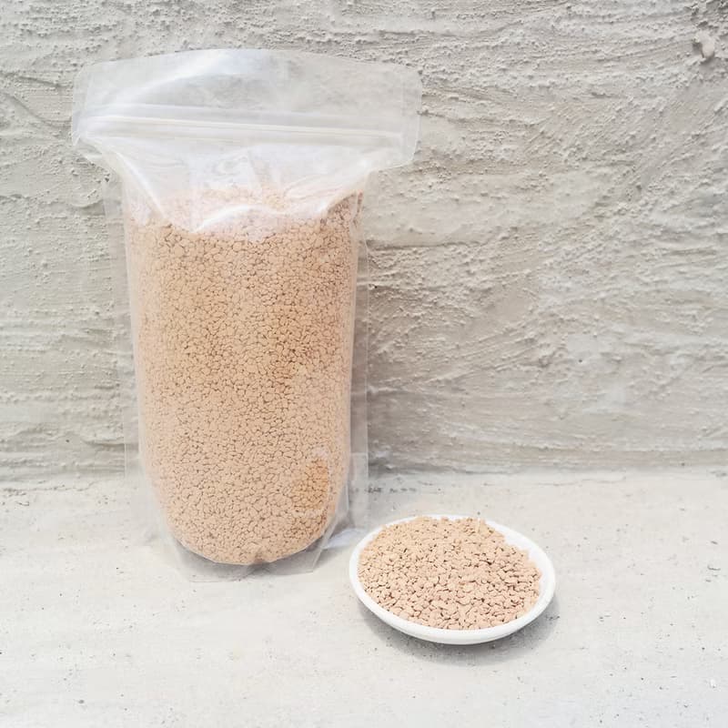 【荳荳多肉】【珪藻土】喬遷│送禮│升遷│多肉植物