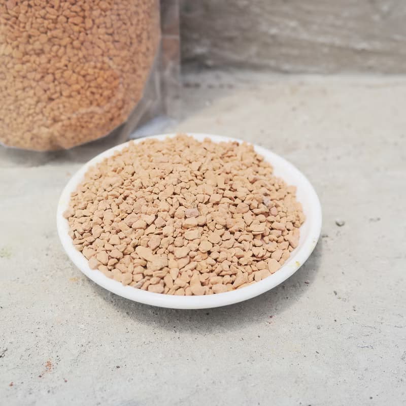 【荳荳多肉】【珪藻土】喬遷│送禮│升遷│多肉植物