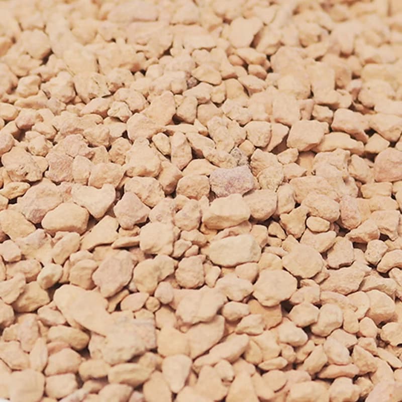 【荳荳多肉】【珪藻土】喬遷│送禮│升遷│多肉植物