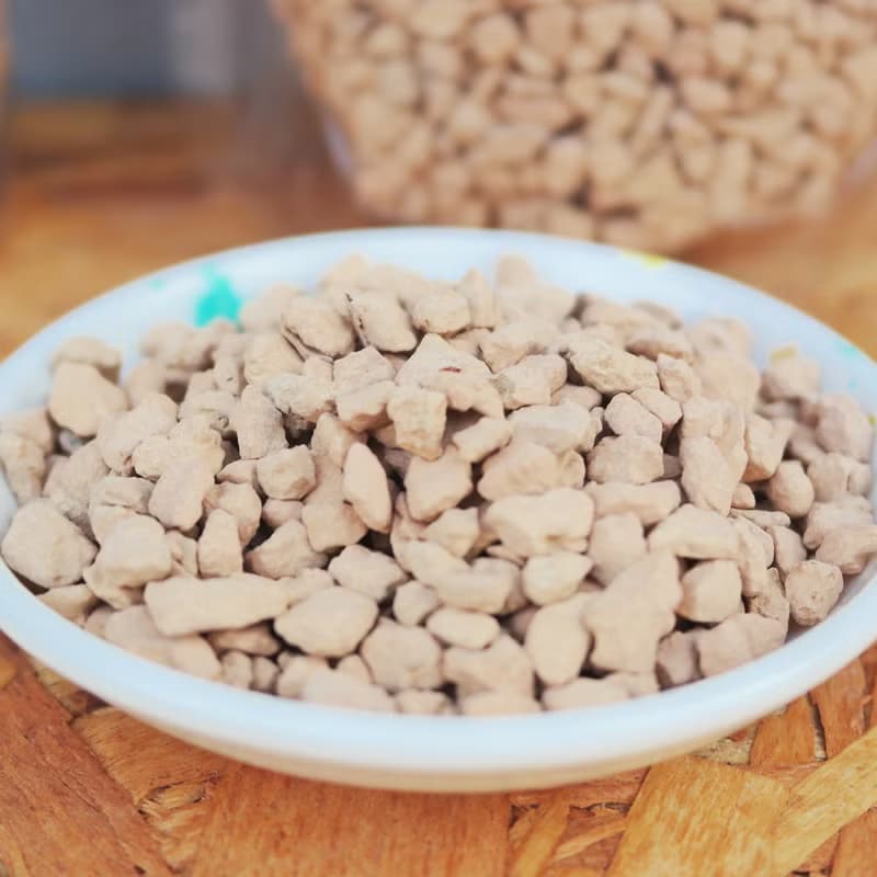 【荳荳多肉】【珪藻土】喬遷│送禮│升遷│多肉植物