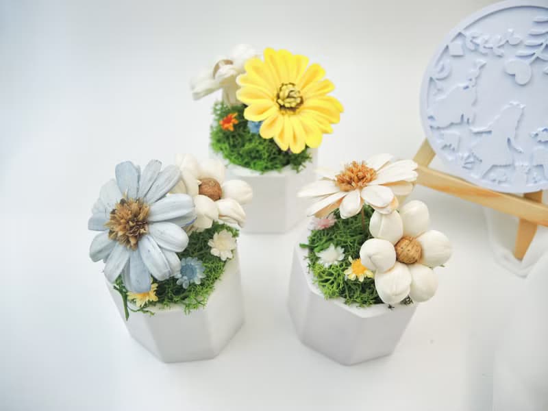 愛麗絲花園 擴香小盆花 擴香花 永生花 桌花