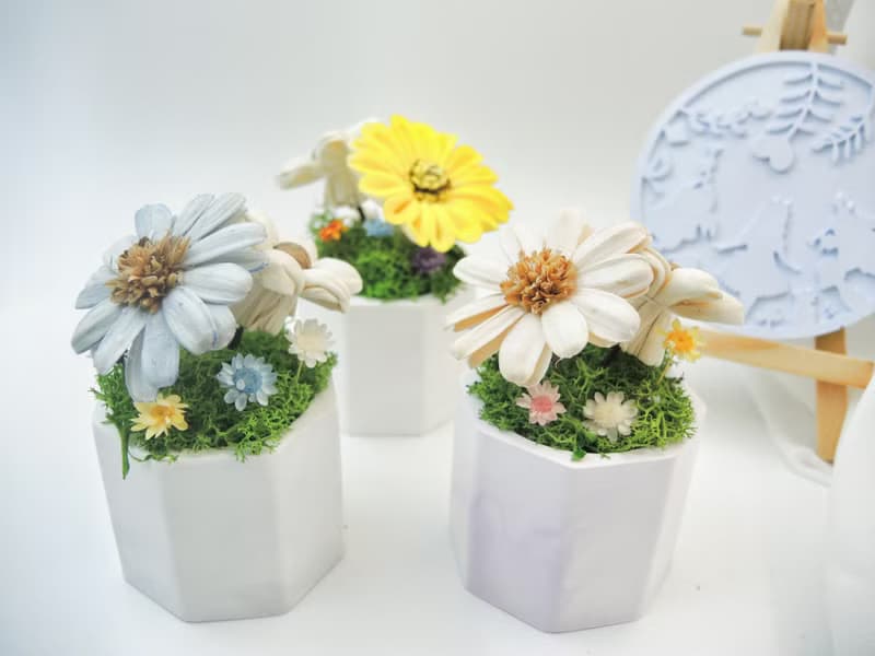 愛麗絲花園 擴香小盆花 擴香花 永生花 桌花