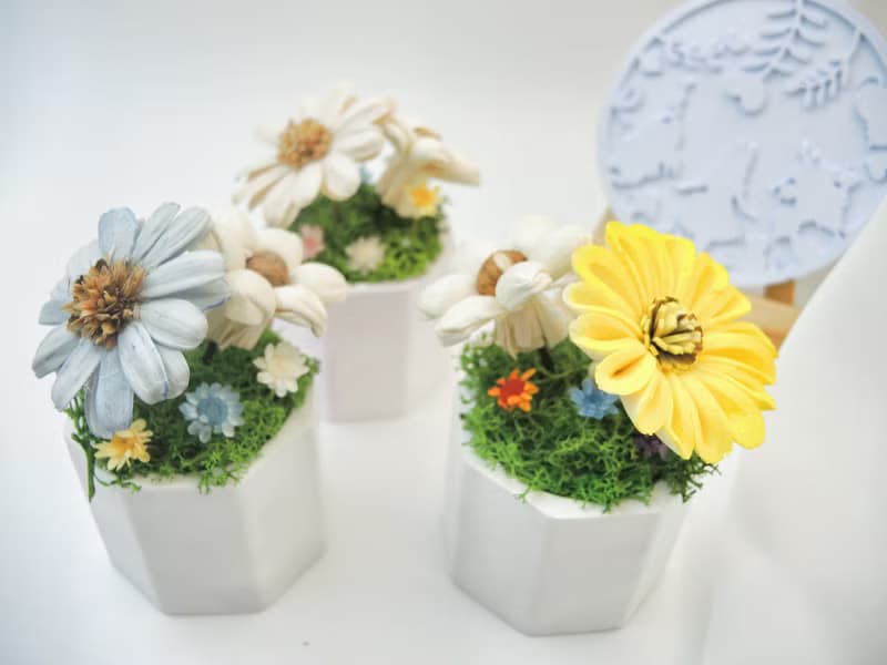 愛麗絲花園 擴香小盆花 擴香花 永生花 桌花