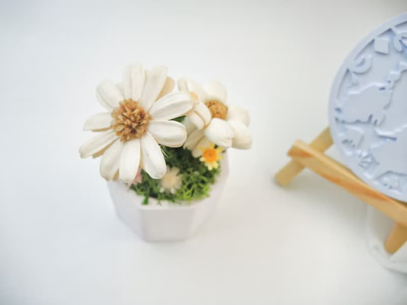 愛麗絲花園 擴香小盆花 擴香花 永生花 桌花