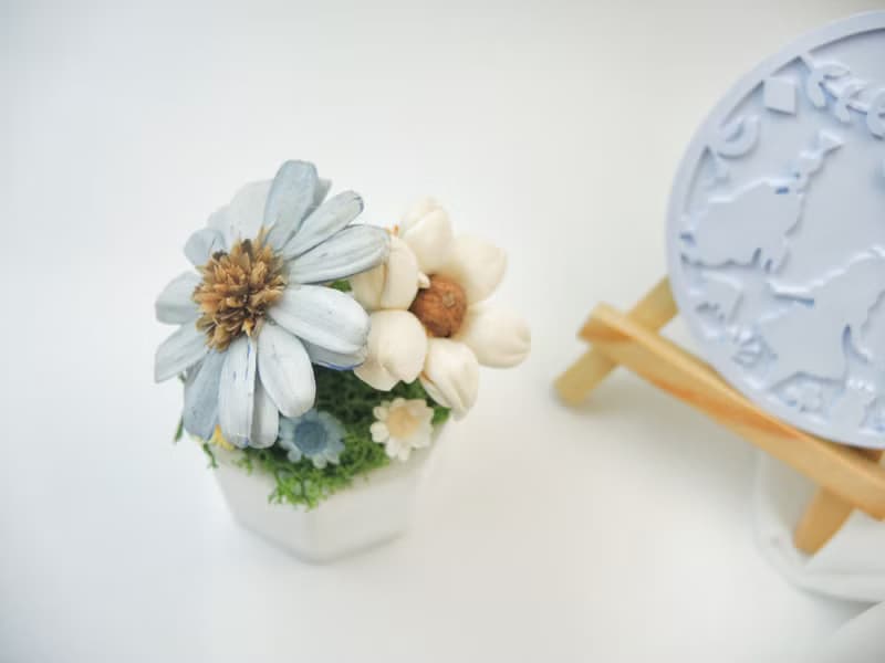 愛麗絲花園 擴香小盆花 擴香花 永生花 桌花