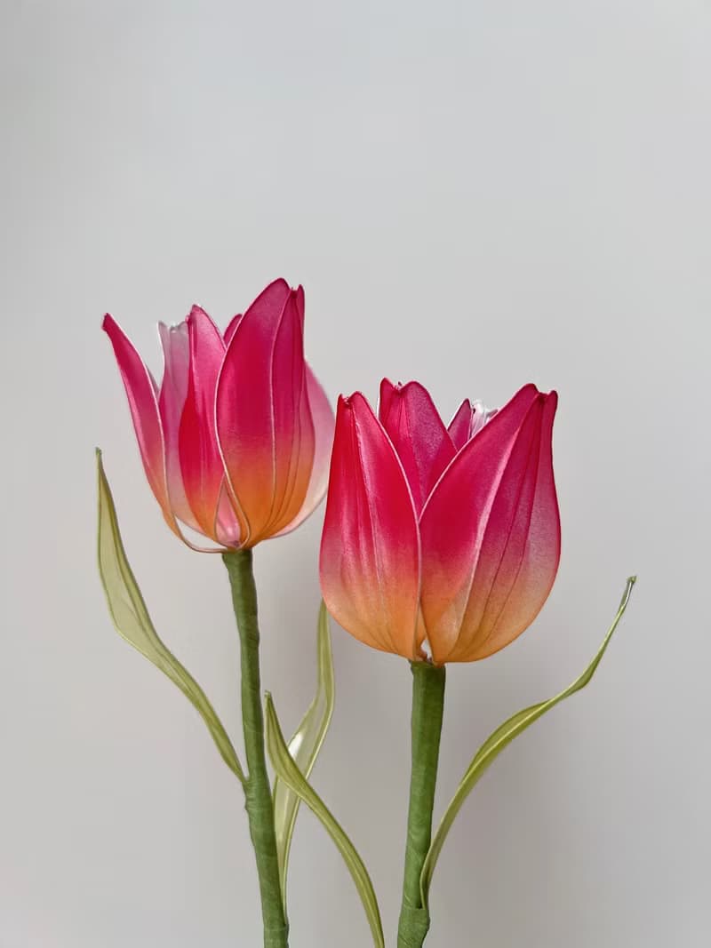 寄語花箋 桃紅 樹脂鬱金香花飾