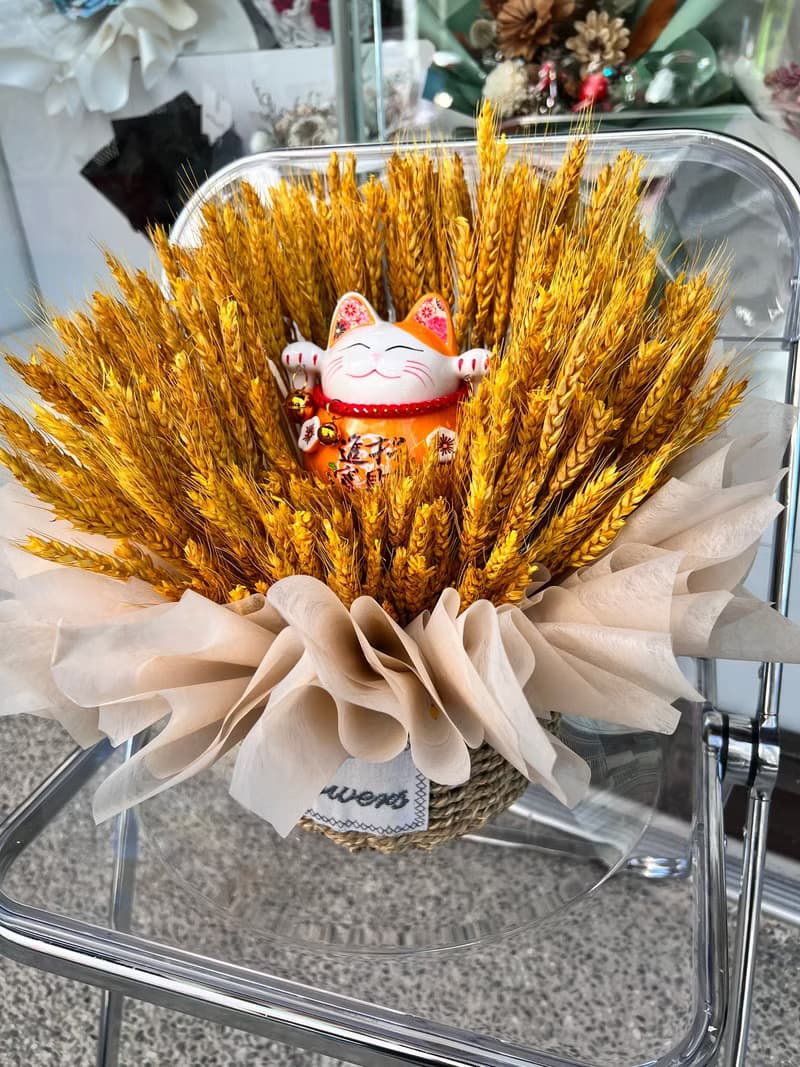 大麥招財貓花禮/適合開幕.新居入宅
