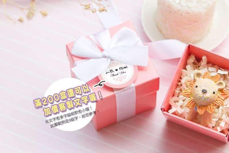 PINK盒裝 仰望星空動物磁鐵 可愛小禮盒 創意文具 驚喜抽獎 小物