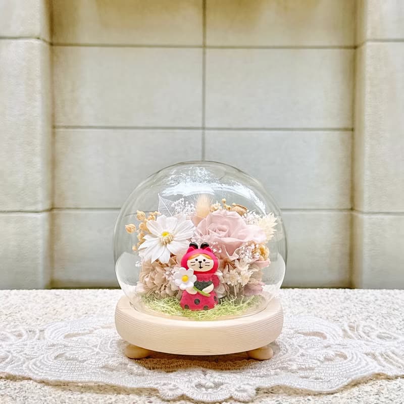 貓咪/柴犬/永生花/乾燥花/夜燈/玻璃盅/玻璃罩