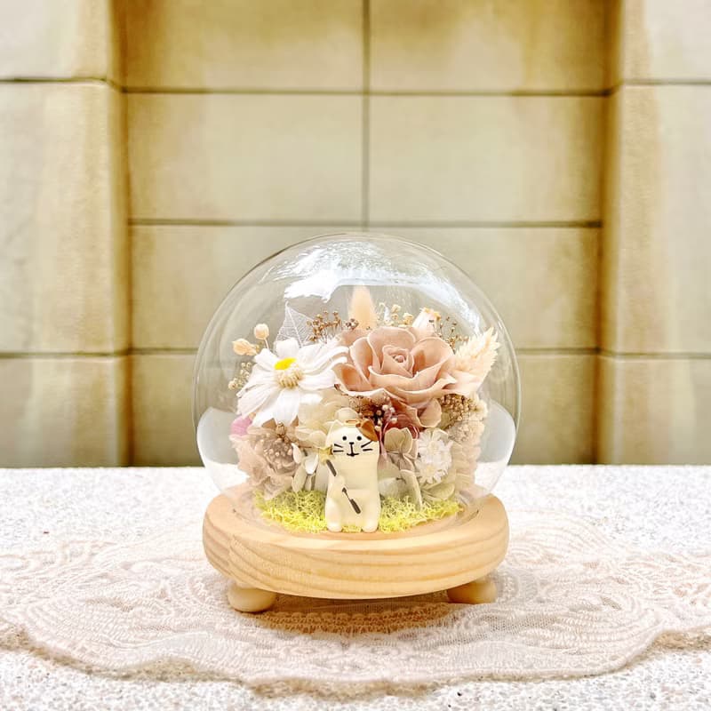 貓咪/柴犬/永生花/乾燥花/夜燈/玻璃盅/玻璃罩