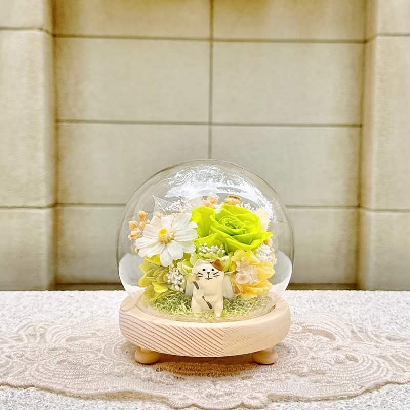 貓咪/柴犬/永生花/乾燥花/夜燈/玻璃盅/玻璃罩